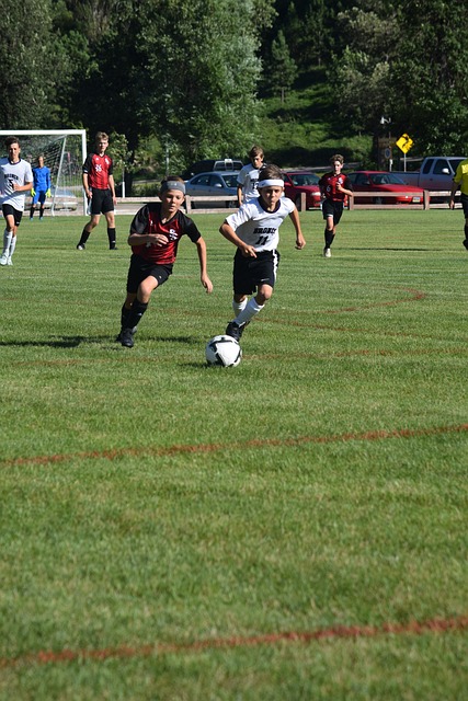 进一步提高 进一步提高