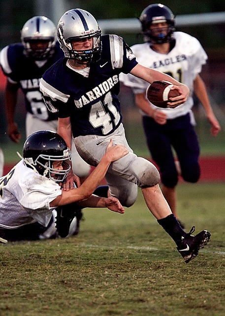 因为它不仅 因为它不仅