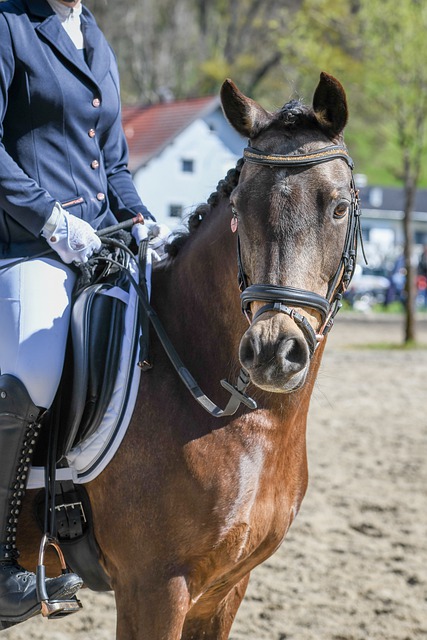 练阿莫林迅 练阿莫林迅