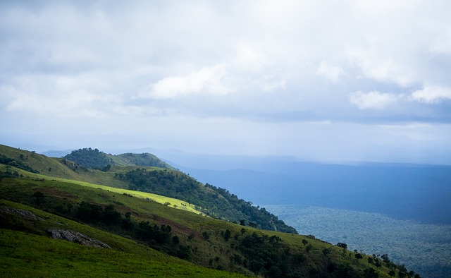 场上局势 场上局势